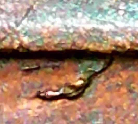 1980-P-Lincoln-Raised-Metal-On-Reverse-Below-Memorial?